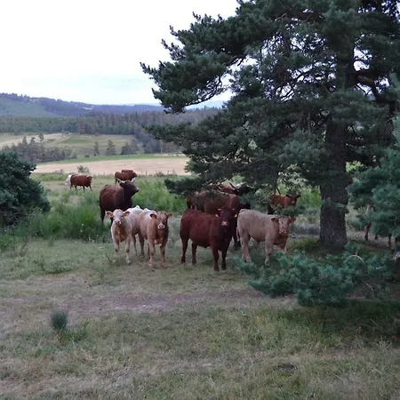 Semesterbostad Les Logis Des Chardons